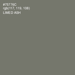 #75776C - Limed Ash Color Image
